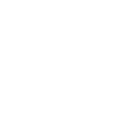 Swansea Council